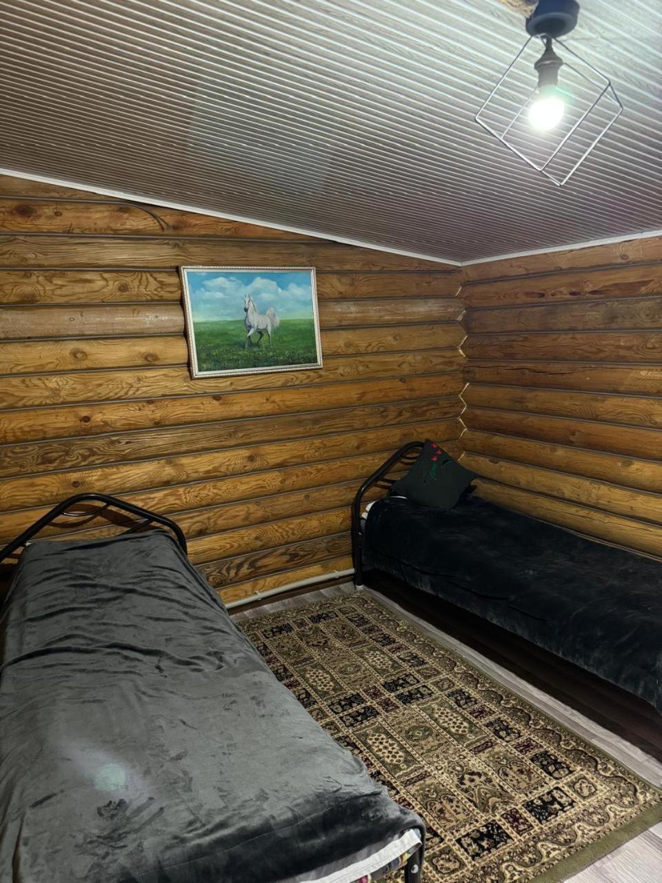 Kolsay Kazakh Village Saty Екстериор снимка